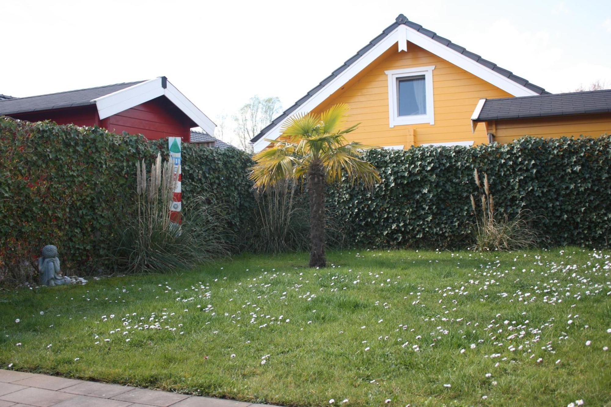 Villa Emilia - Gemuetliches Kinderfreundliches Blockhaus Mit Umzaeuntem Garten Sint-Annaland Extérieur photo